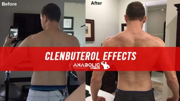 ClenbuterolDosierung Clen für Bodybuilding Anaboler Coach