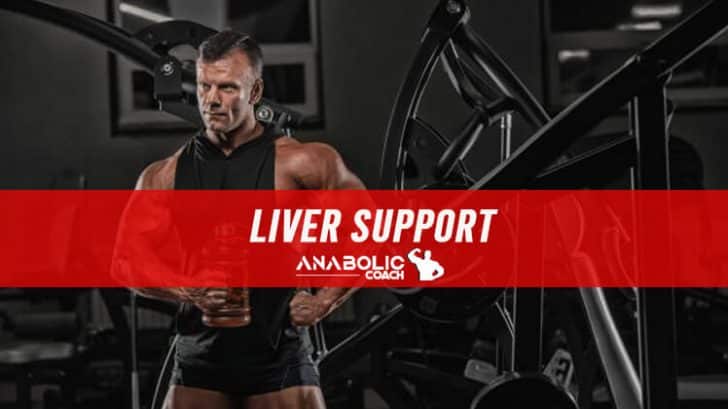 Liver Support For A Steroid Cycle | Anabolic Coach
