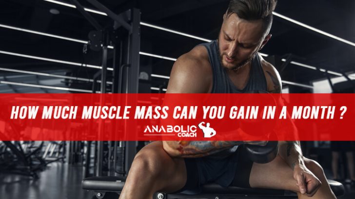 how-much-skeletal-muscle-mass-can-you-gain-in-30-days-anabolic-coach