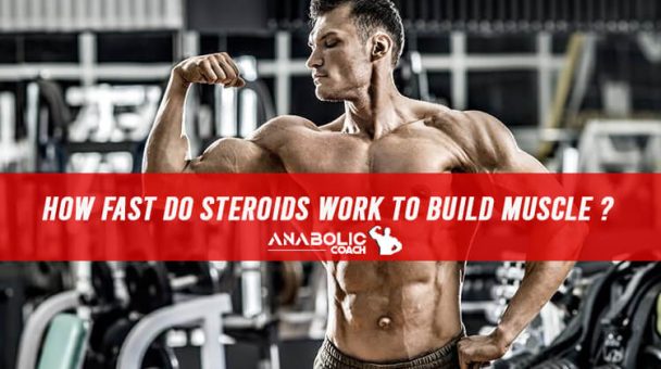 How Fast Do Steroids Work to Build Muscle? - Anabolic Coach