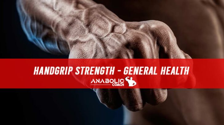 What Your Handgrip Strength Says About Your General Health Anabolic Coach 8915