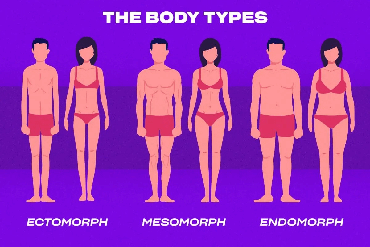 What Body Type Do You Have Ectomorph Mesomorph Or Endomorph Anabolic Coach 5769